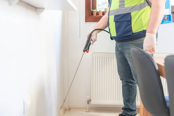 Best Termite Control Services  in Union, NJ