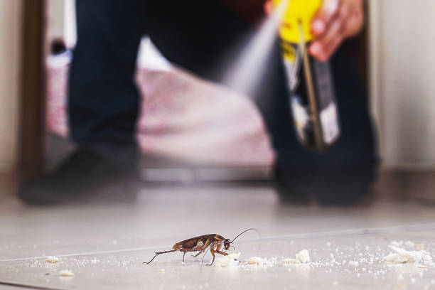 Best Cockroach Control Services  in Union, NJ